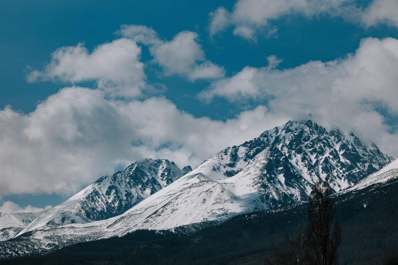 Villa Greystone Vysoke Tatry Ngoại thất bức ảnh